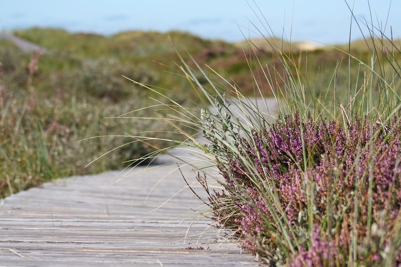 Interactive Nature Walks